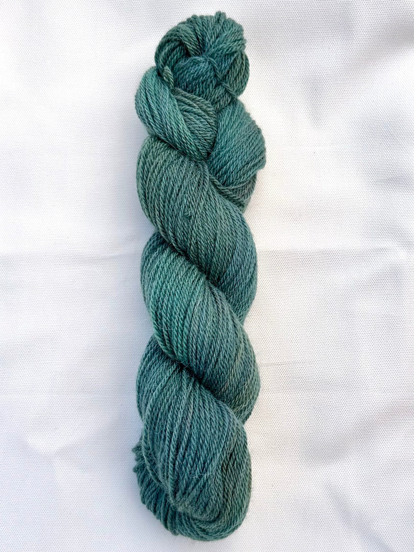 Angora Wabbit / Blue Algae