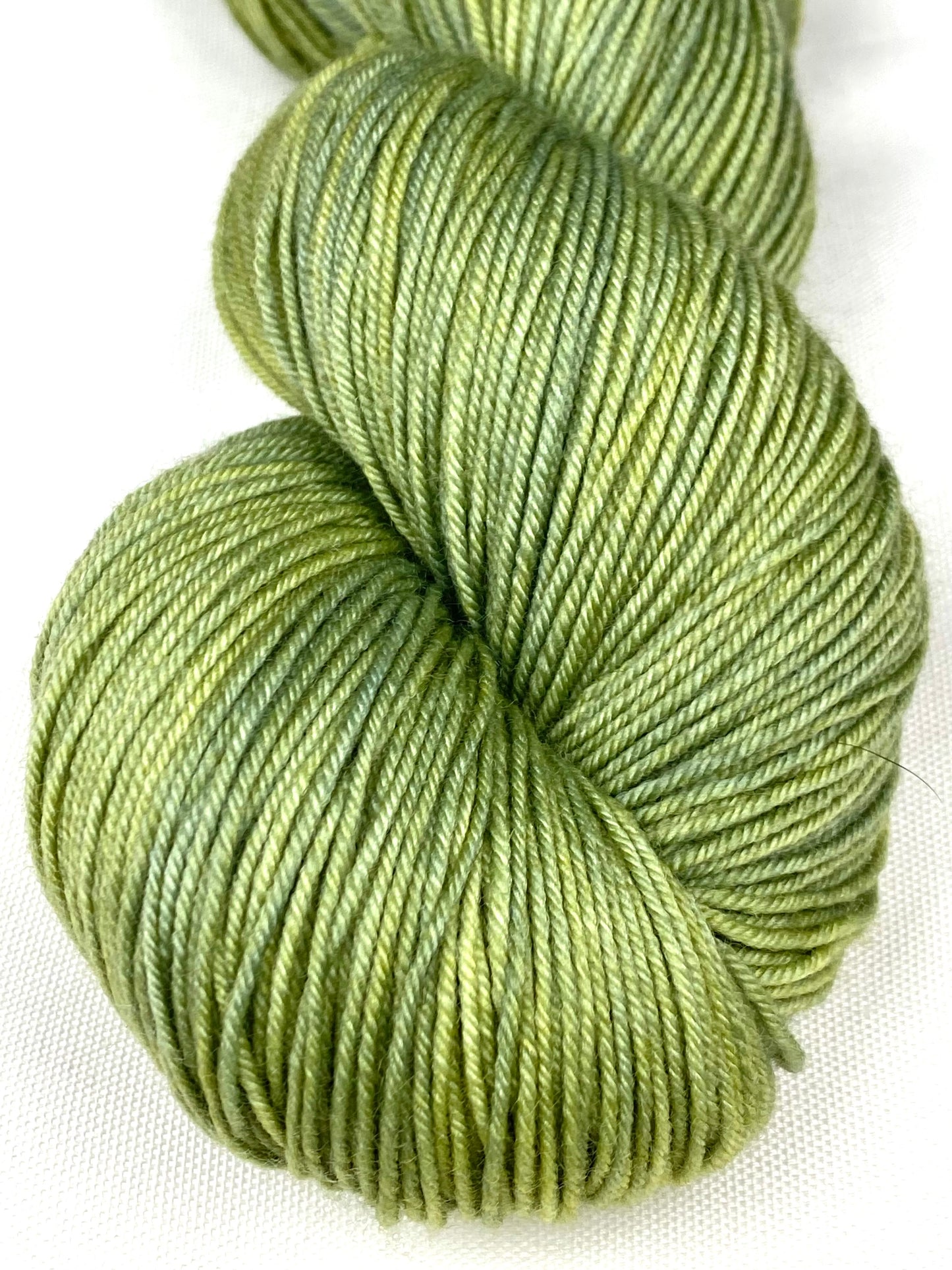 Winter Pillow Worsted / Sea Turtle Green